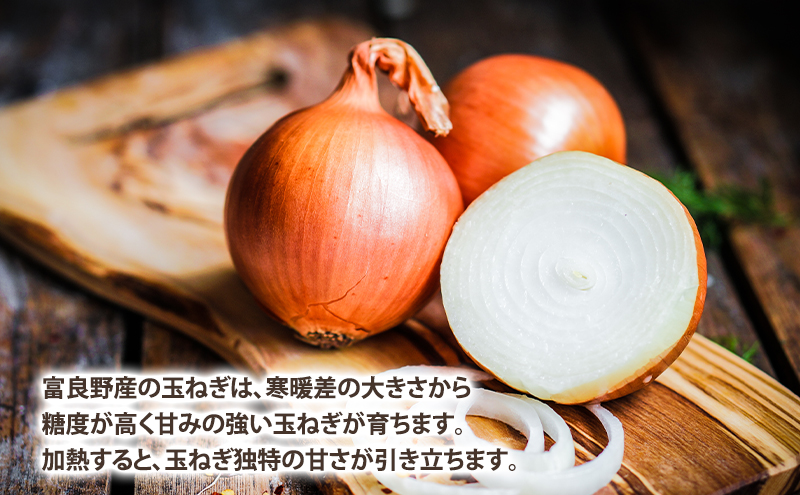 2026年秋冬発送】北海道富良野産 たまねぎ 約10kg (Lサイズ前後) 野菜