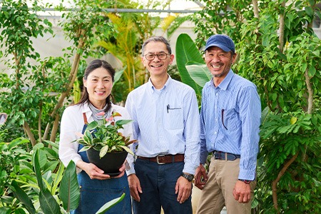 オリジナルアレンジ観葉植物 Mサイズ【寄せ植え インテリア リビング