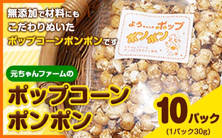 ポップコーンポンポン 元ちゃんファーム《30日以内に出荷予定(土日祝