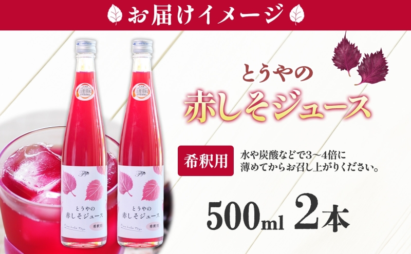 北海道 とうやの 赤しそ ジュース 希釈用 500ml×2本入り シソ しそ
