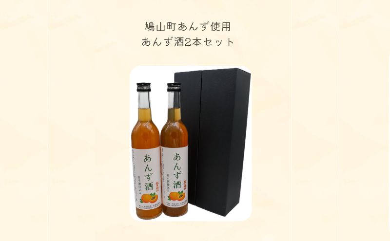 あんず酒2本セット 果実酒 リキュール お酒 アルコール 日本酒仕込み 