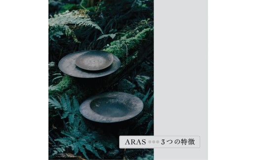 最短翌日配送】ARAS 深皿スクープ HC（26cm）2枚セット グレイズグレー