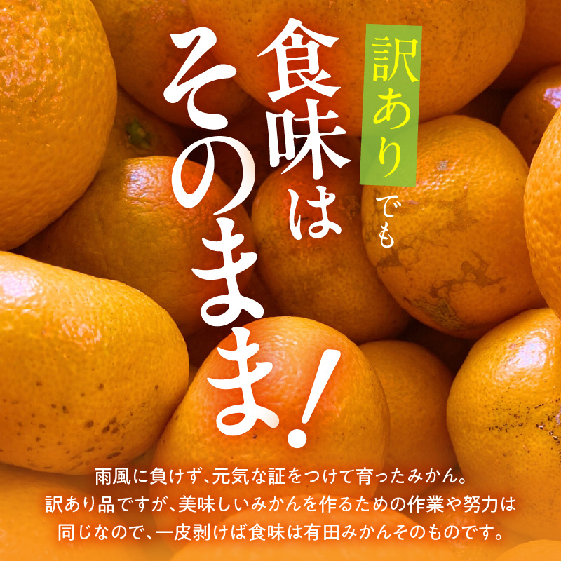 2026年先行予約】訳あり みかん 極早生 箱込 5kg ( 内容量 4.4kg