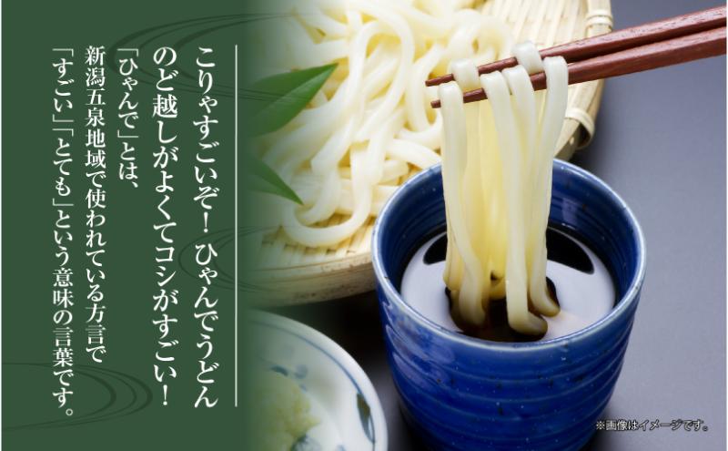 ひゃんで うどん 600g 4袋 24人前 饂飩 ウドン 干しうどん ざるうどん