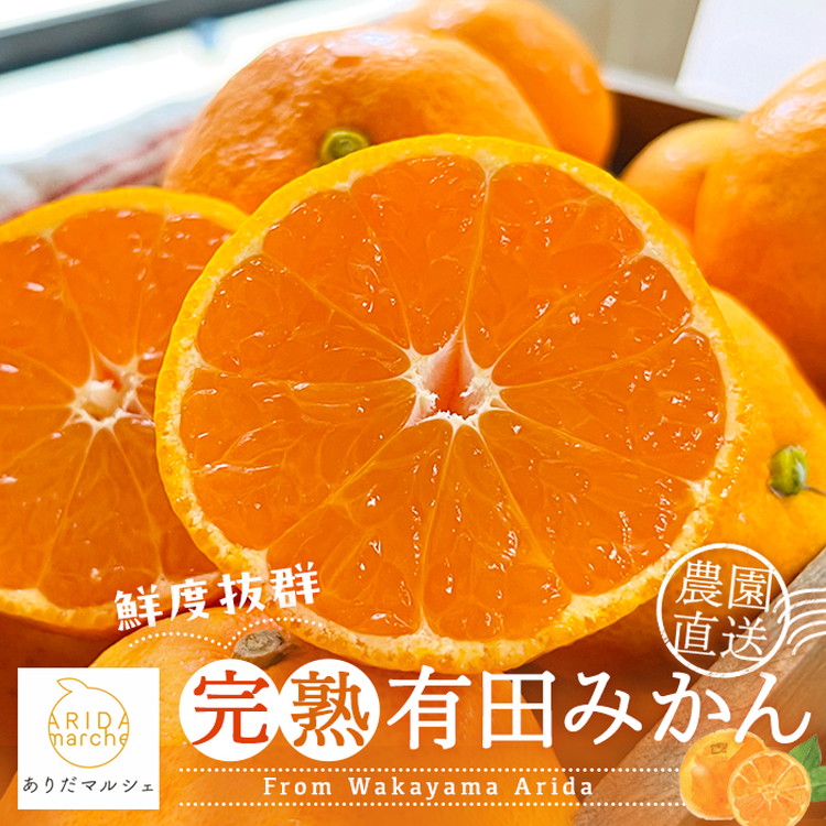 先着3名のみ　農家さん直送　有田みかん　20キロ5000円〜　 2026年1月発送】農家直送！有田みかん 3kg≪Sサイズ 秀品≫【平武農園
