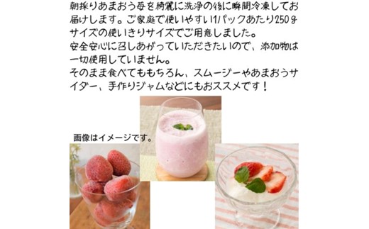 福岡県産 冷凍あまおう500g(250g×2個)【木村食品】_HA1739（福岡県宗像
