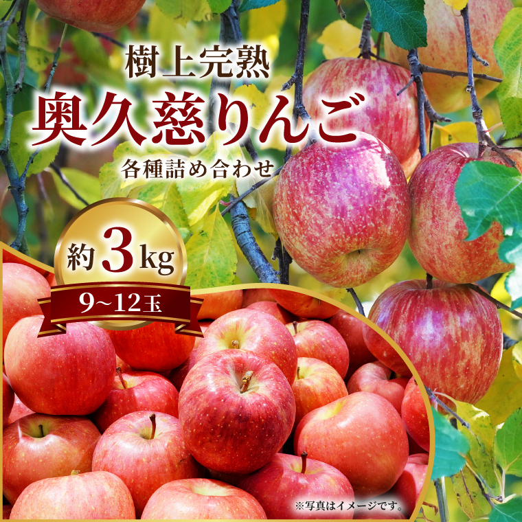 先行予約】仲野りんご園の奥久慈りんご（各種詰め合わせ）約3kg（9～12