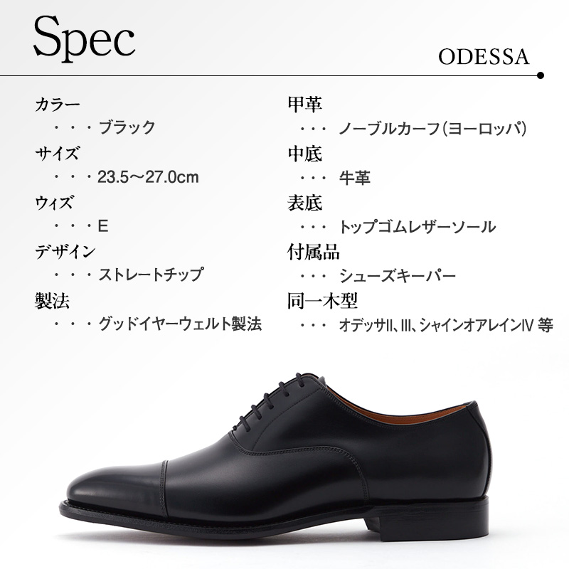 スコッチグレイン ビジネスシューズ メンズ オデッサ 916 ストレート