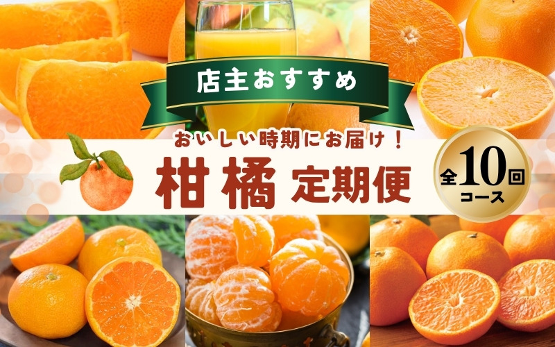 みかん【全10回】 柑橘 定期便 石本果樹園 店主おすすめの柑橘セットを