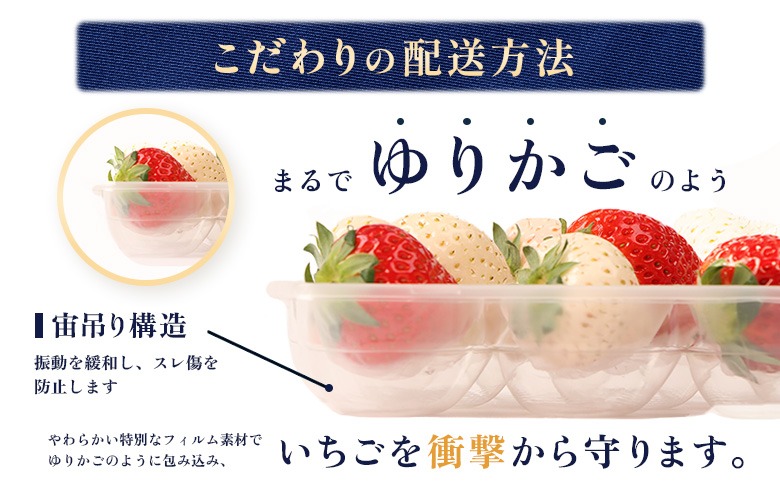 2027年1月以降発送！】【北海道産】ゆきいちご（ゆきぼたん/すず）赤