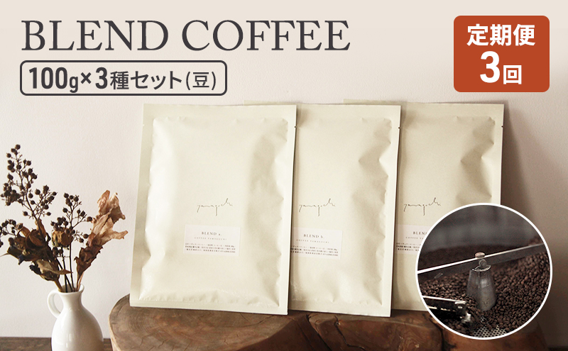 定期便 3ヶ月 コーヒー セット BLEND COFFEE 100g×3種セット (豆のまま