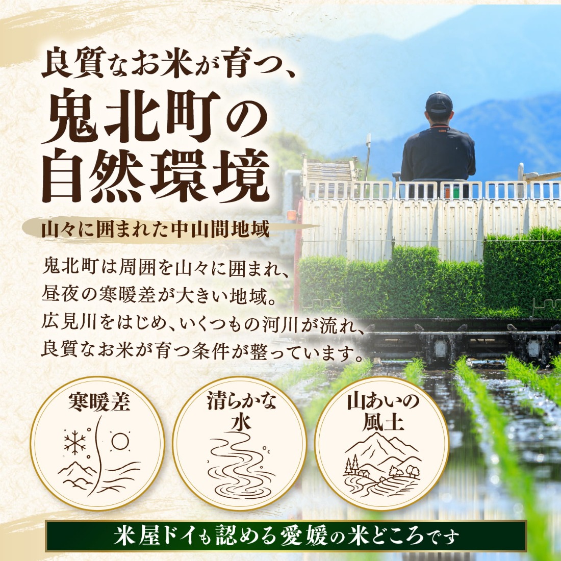 先行予約】【令和8年産】鬼北町産 こしひかり 10kg（5kg×2袋） 【米屋
