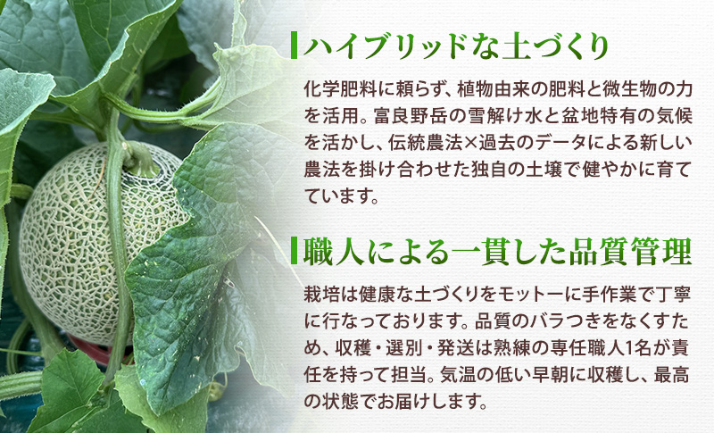 2026年発送＞富良野メロン 秀品 4玉～5玉 （1玉約1.6kg～1.8kg）8kg箱