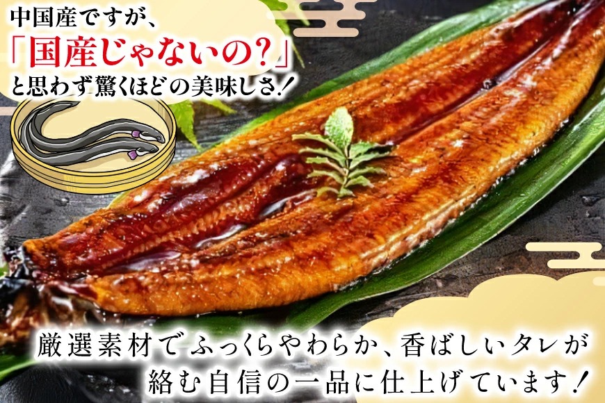 ゆうなぎ うなぎ 蒲焼 特大サイズ 肉厚 約 1.5kg 4尾 タレ・山椒付 茶葉