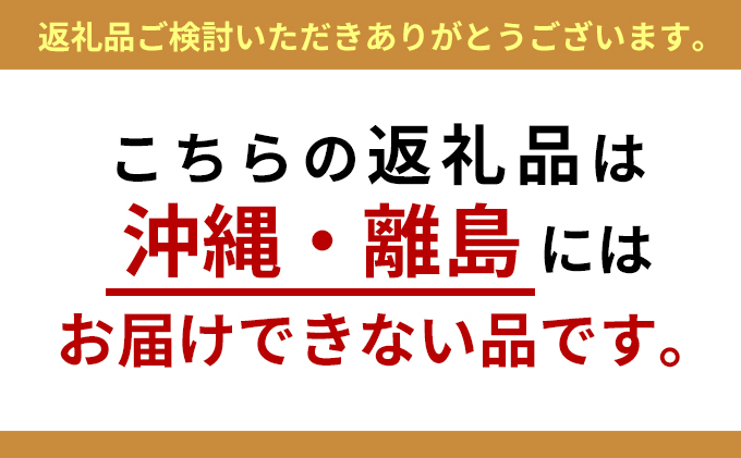 かんざし 伝統工芸 扇面菊水 平打ち簪 かざり工芸三浦 簪 ヘア