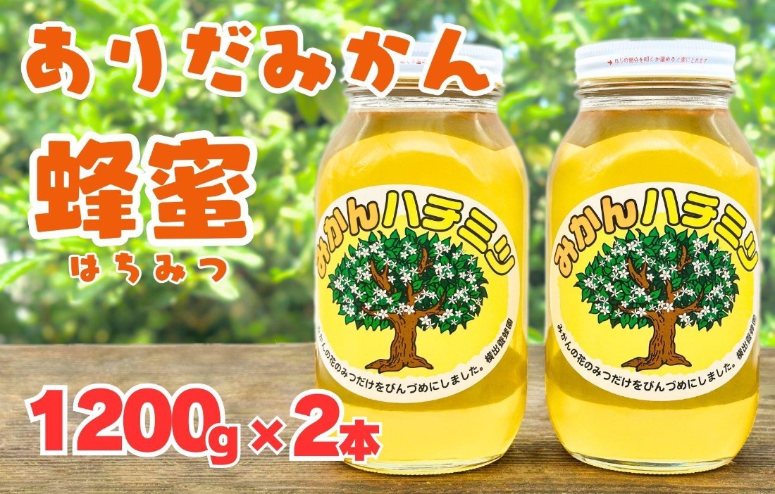 ありだみかん蜂蜜 1200g×2本セット BC07（和歌山県有田川町