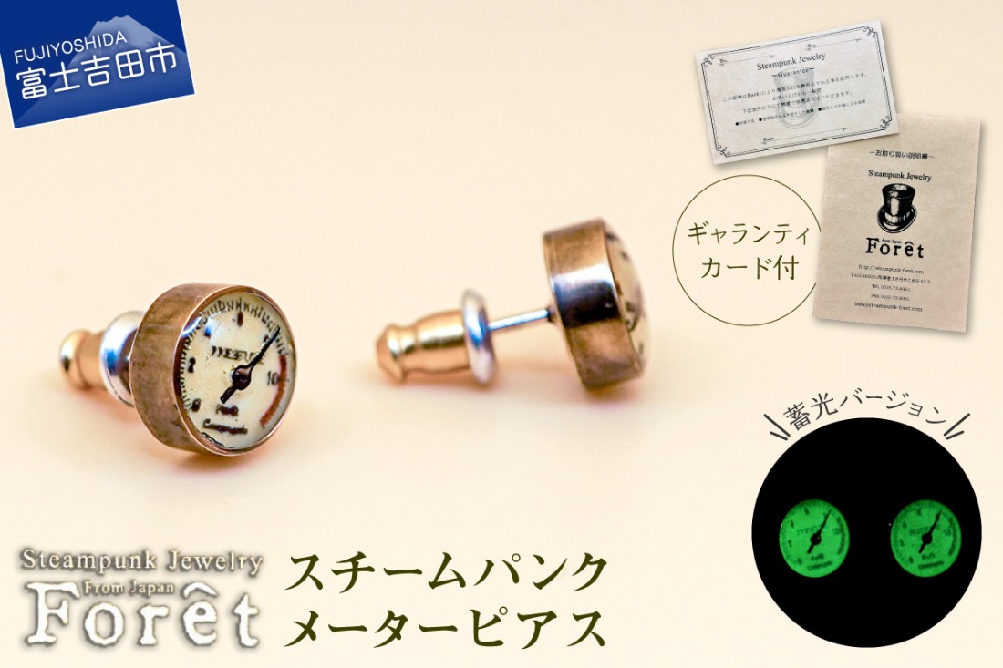 Steampunk スチームパンク メーターピアス ジュエリー シルバー