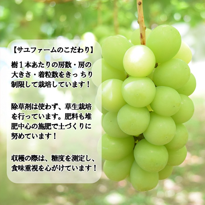 ☆この価格には理由がある☆＼農家のこだわりが詰まった