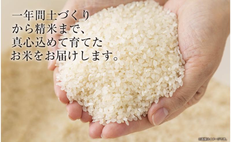 令和7年産 ｜無洗米｜ 魚沼産 コシヒカリ 5kg お米 こしひかり 新潟
