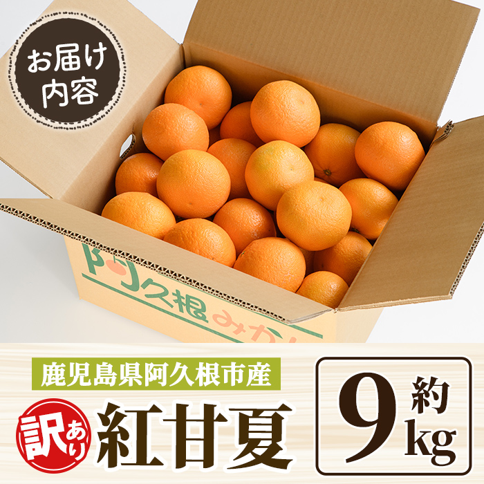 先行予約受付中！2027年2月上旬以降順次発送予定＞ 訳あり！紅甘夏 (約