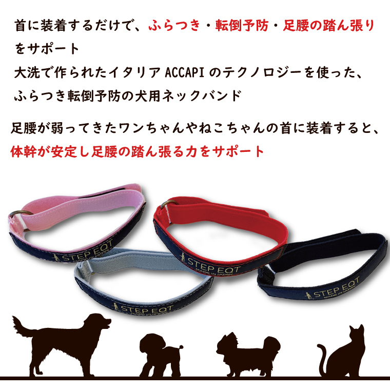 ペット用ネックバンド マジックテープ式 STEP EQT 転倒防止 ブラック