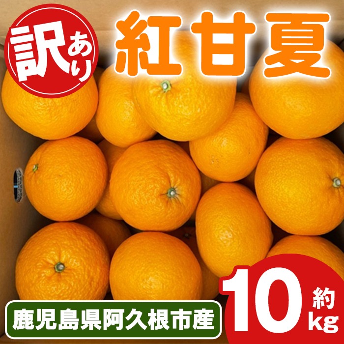 先行予約受付中！2026年2月上旬以降順次発送予定＞訳あり！紅甘夏(10kg