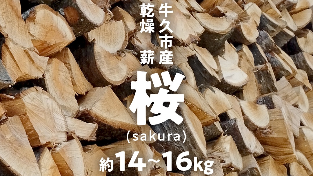 牛久市産 乾燥 薪 桜 ( さくら ) 約14kg～16kg 天然木 マキ 乾燥薪 広葉樹 キャンプ アウトドア 焚火 焚き火 薪ストーブ 暖炉 たき火 野外 屋外 バーベキュー薪 ピザ窯の薪 グリル焼 [DP010us]