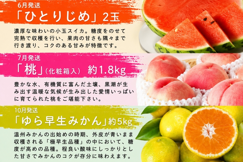 全6回定期便】旬のフルーツ定期便 【田村みかん / 紀州デコ(不知火