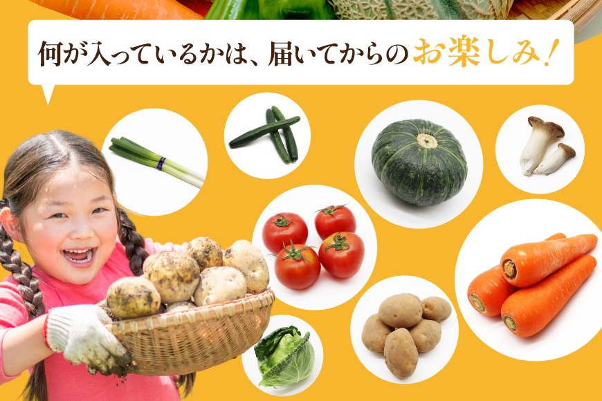 BF059 【12回定期便】旬の野菜・フルーツ (12〜14品目)・卵 (6個
