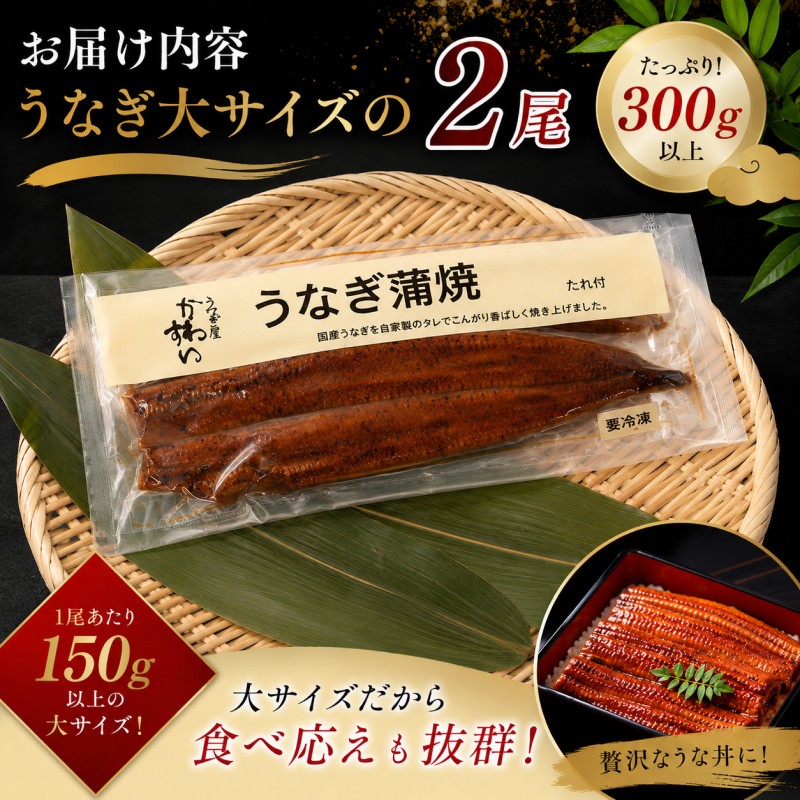 国産うなぎ 蒲焼き 大サイズ 2尾セット(合計300g) タレ付き 国産
