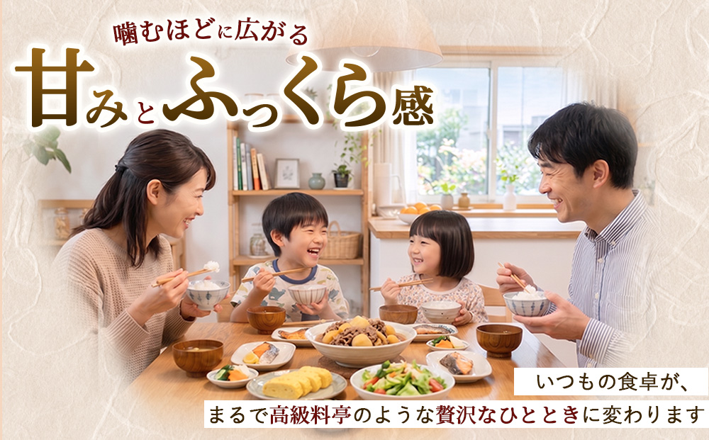 令和8年産】茨城コシヒカリ【無洗米】 15kg（5kg×3袋） | お米 米 無