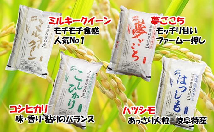 特別栽培米 【 令和8年産 】 玄米 30kg【 ハツシモ 】（岐阜県池田町