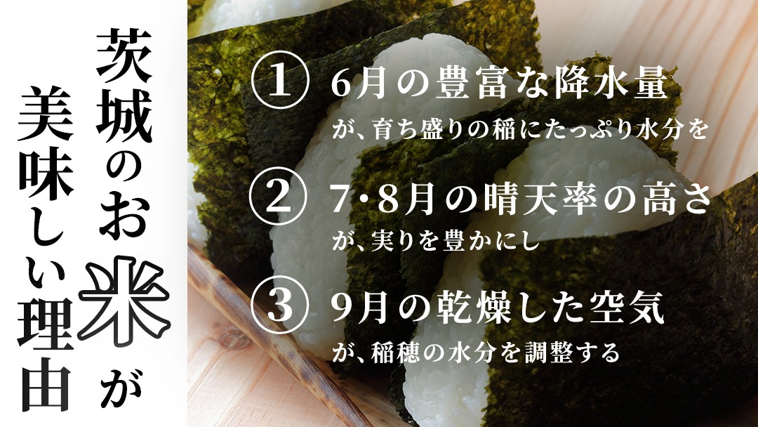 選べる品種・発送時期 ／コシヒカリ・品種おまかせ・5kg 10kg 15kg