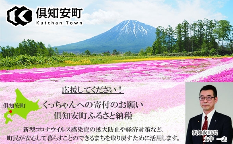 CF】北海道 ニセコ東急グラン・ヒラフスキー場 ヒラフHANAZONO共通1日