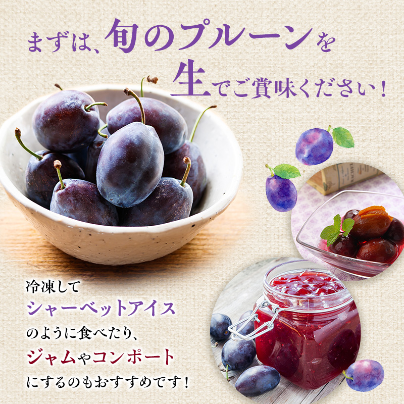 2026年発送] 北海道 仁木町産 季節のプルーン 1.6kg（400g×4パック