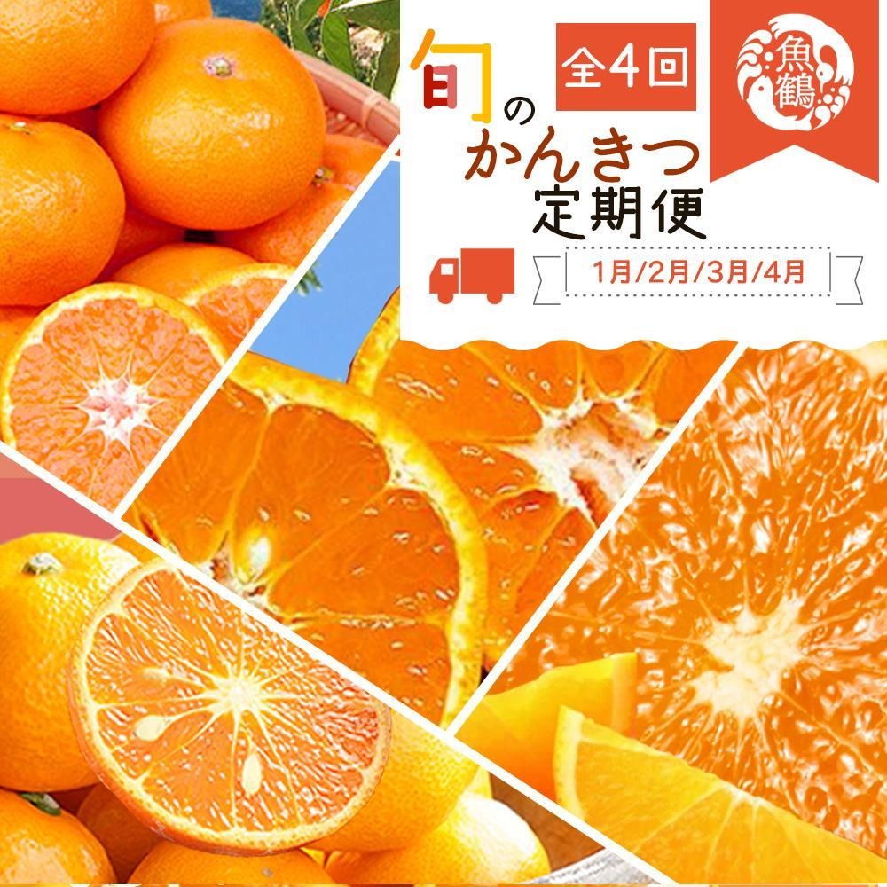 1・2・3・4月 全4回 定期便】紀州和歌山産旬のご家庭用柑橘セット