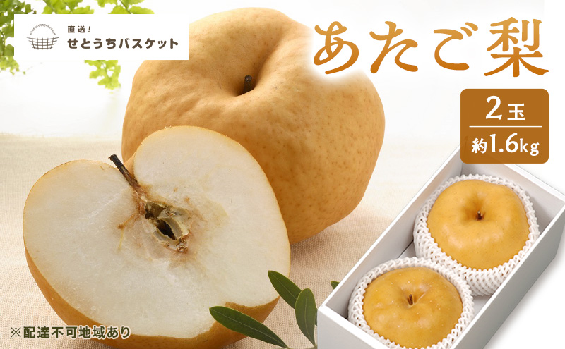 梨 2027年 先行予約 あたご梨 2玉 約1.6kg ナシ なし 岡山県産 国産