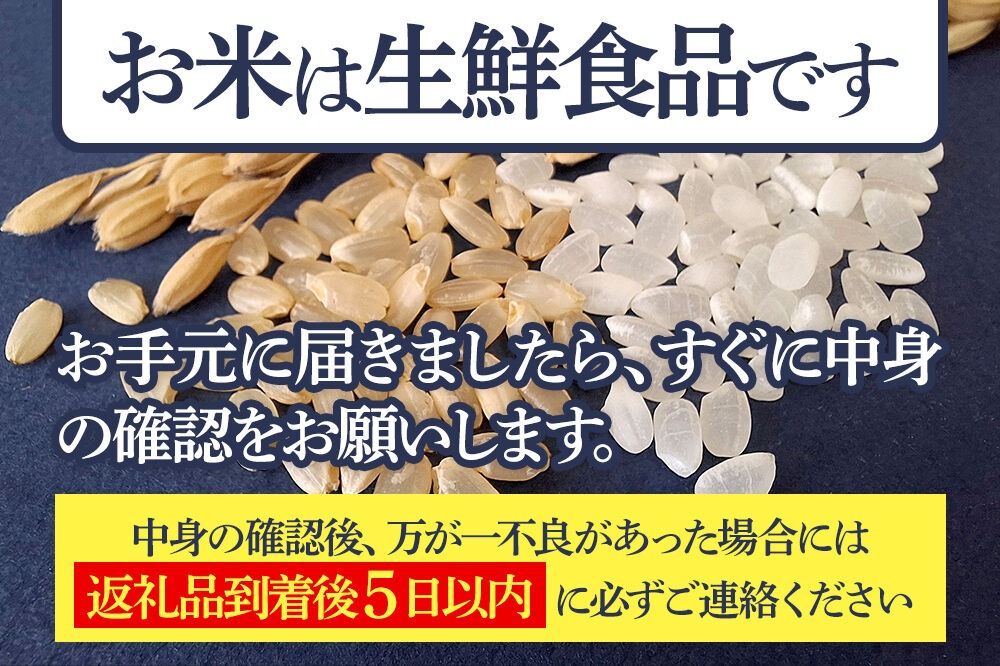 白米】＜令和8年産 新米予約＞ 《定期便10ヶ月》秋田県産 あきたこまち