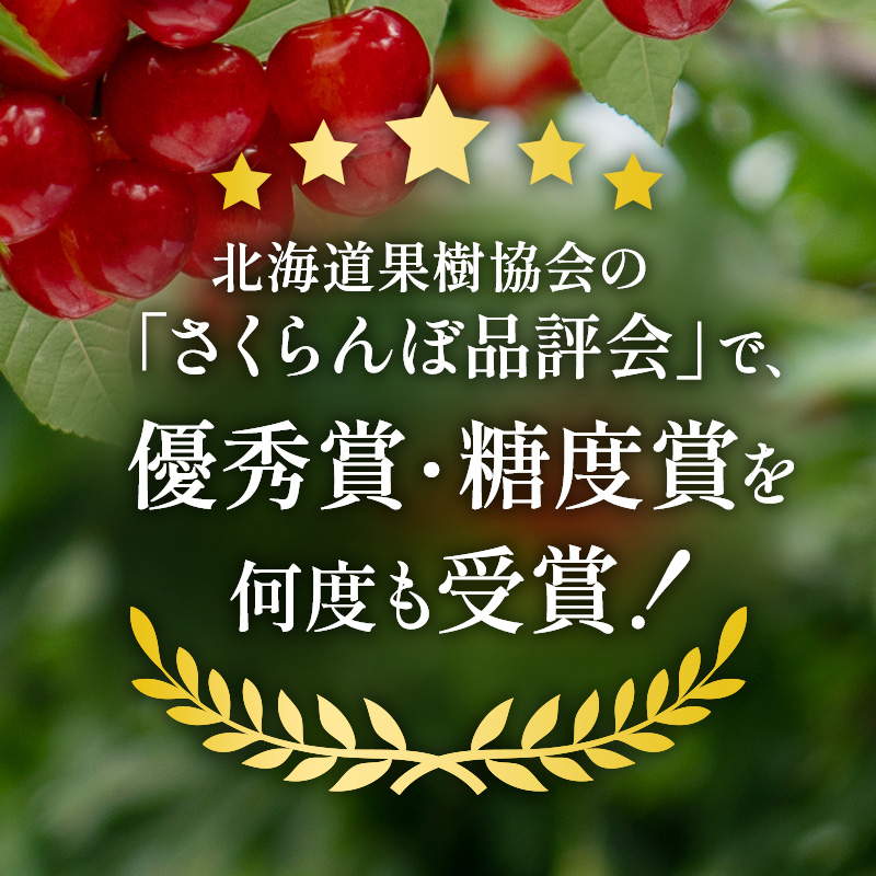 先行受付 北海道 仁木町産 贈答用 さくらんぼ 【 南陽 】 桐箱入 2L