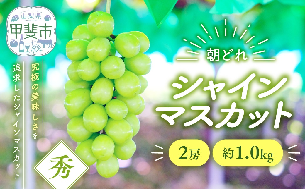2026年/令和8年発送分】シャインマスカット 2房 約1.0kg 人気 おすすめ