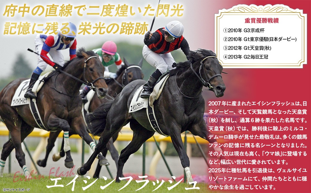 エイシンフラッシュ】(ブラック）プルオーバーパーカー_Mサイズ
