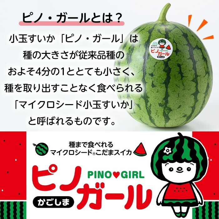 ６５５５円・６～８玉・第２弾・数量限定・ピノガール「小玉スイカランキング第１位」 6555円・6～8玉・第2弾・数量限定・ピノガール「小玉