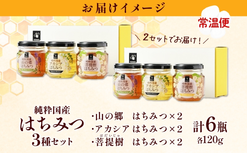 国産はちみつ120g 3本入り 2セット 山の郷 アカシア 菩提樹 国産 純粋