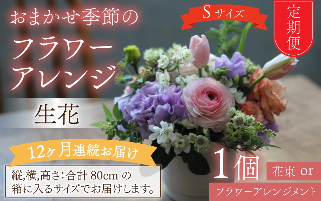 675741e7-06d3-4ed2-9df2-