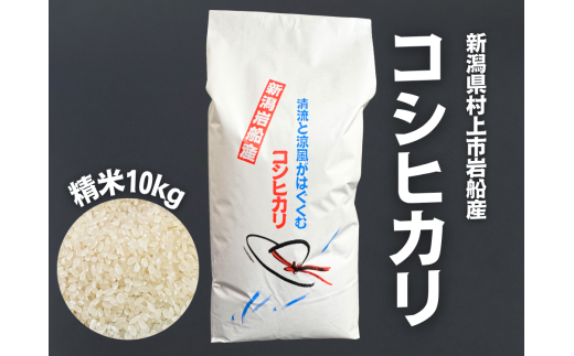 令和7年産米】新潟県村上市 岩船産コシヒカリ 精米 10kg×1袋 1100001