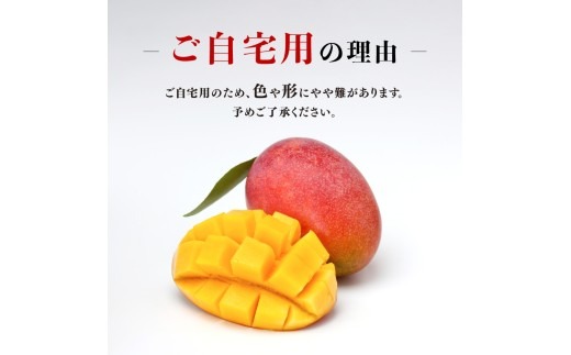 マンゴー 【令和8年発送】宮崎県産ご自宅用完熟マンゴー 2玉 900g以上