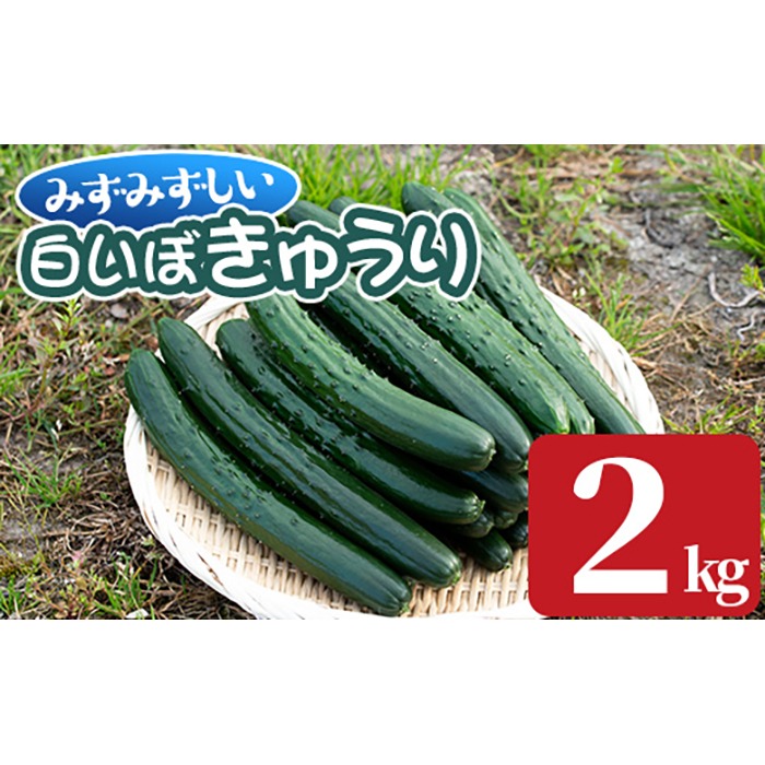 6798d9a6-26d0-4675-a411-
