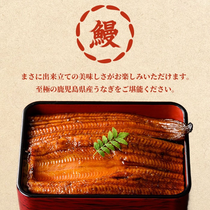 0304349a-2611】＜11月上旬発送予定＞東串良町のうなぎ蒲焼(無頭)(6尾