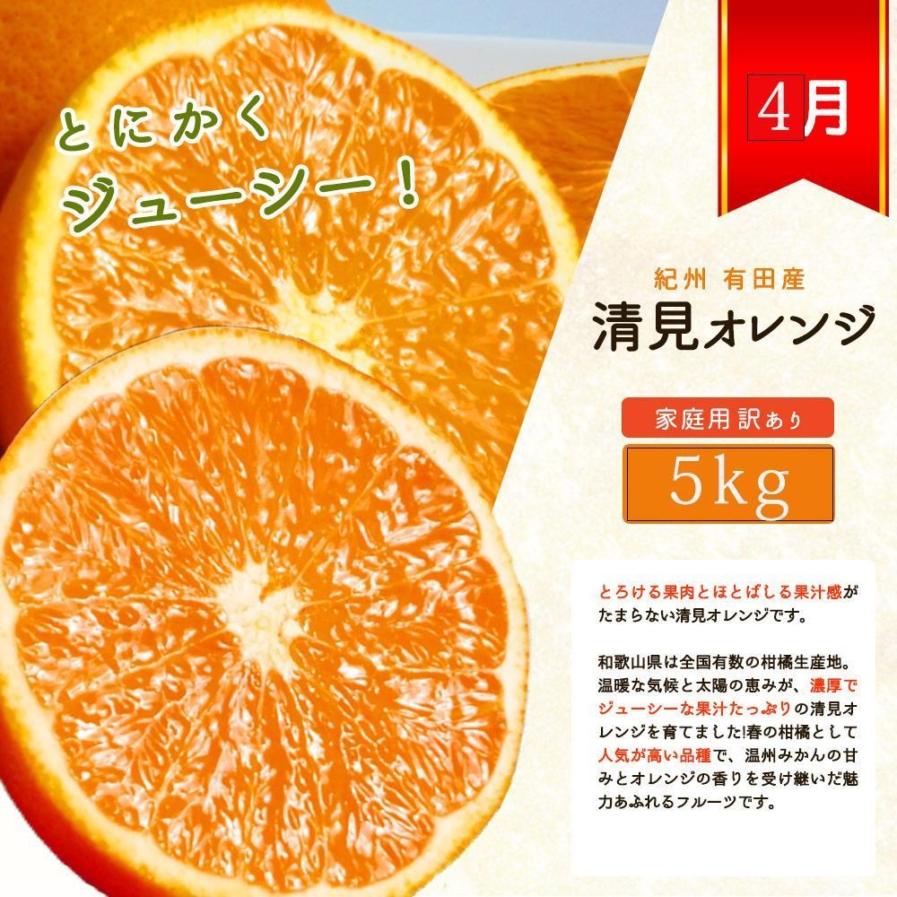 1・2・3・4月 全4回 定期便】紀州和歌山産旬のご家庭用柑橘セット