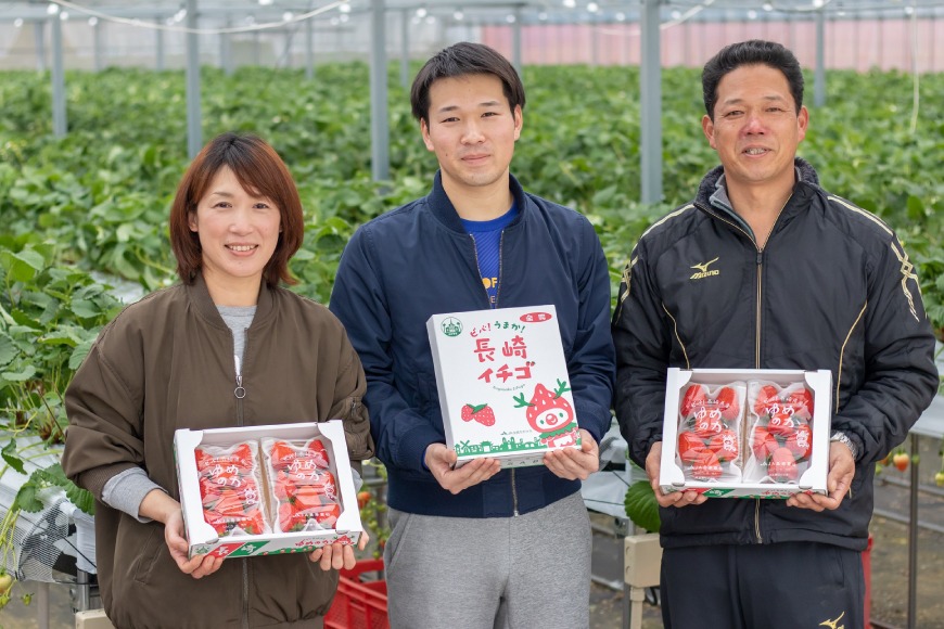 DE178【令和9年1〜4月発送】長崎県知事賞受賞 厳選いちご ゆめのか 2L